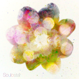 午夜福利观看视频1
